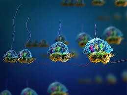 Image for Cell-free Protein Expression Market Size, Trends, Revenue, Analysis Report 2024-2032 with ID of: 6178366
