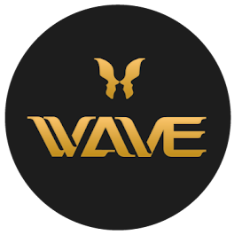 Image for Wave Plastic Surgery & Aesthetic Laser Center Costa Mesa with ID of: 6179738