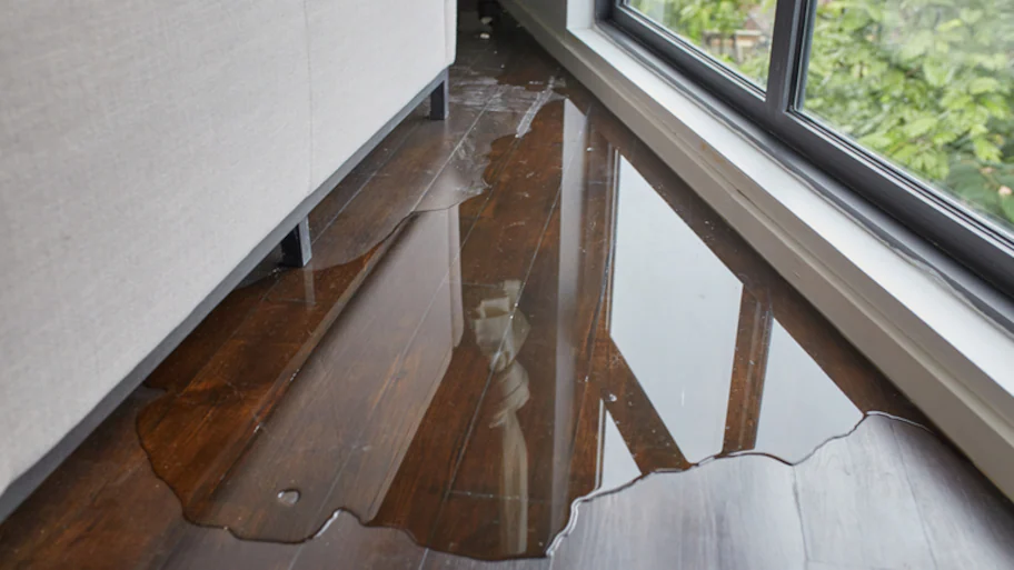 Image for What To Look For In A Water Damage Restoration Company: A Helpful Checklist with ID of: 6179817