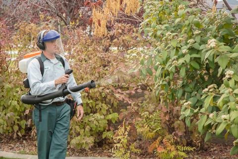 Image for Edge Pest Control and Mosquito Services with ID of: 5025484