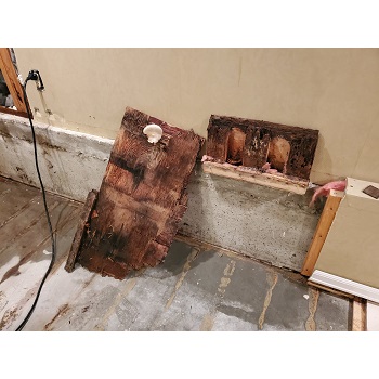 Image for Service Pros & Asbestos with ID of: 5030717