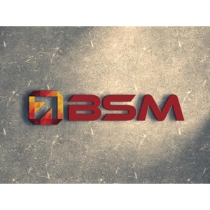 Image for BSM - A Denver SEO Company with ID of: 6186747