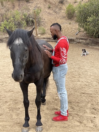 Image for Equine Leadership Program with ID of: 5034209