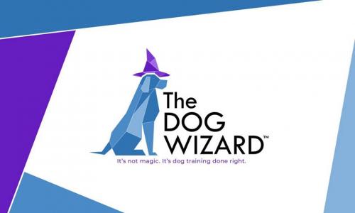 Image for The Dog Wizard Ashland with ID of: 5036432