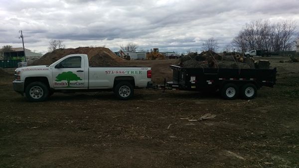 Image for Braik's Tree Care with ID of: 5040150