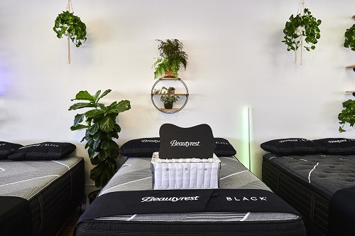 Image for Mattress Pros with ID of: 5043089