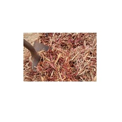 Image for Mulch Yard Landscape Supply with ID of: 5052374
