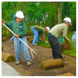 Image for Santa Rosa Landscaping with ID of: 5053142