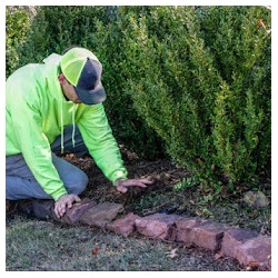 Image for Santa Rosa Landscaping with ID of: 5053144