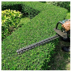 Image for Santa Rosa Landscaping with ID of: 5053146
