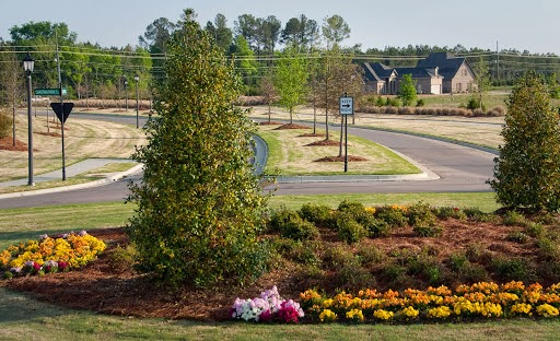 Image for New Park Living with ID of: 5055499