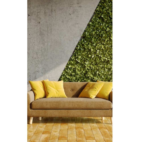 Image for Plantscape Live with ID of: 5055625