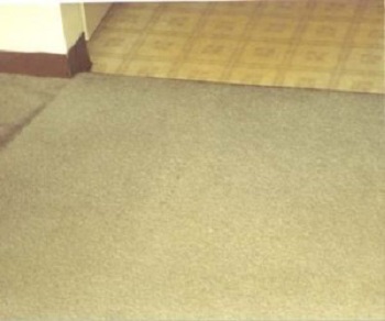 Image for Simply Clean Carpet Care with ID of: 5057458