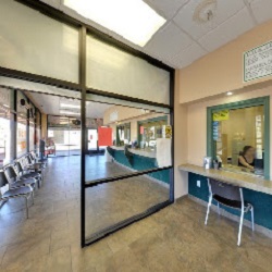 Image for 1 Stop Title Loans & Motor Vehicle Services with ID of: 5063607