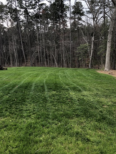 Image for Distinct Lawns with ID of: 5064871