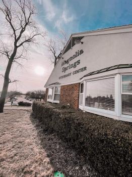 Image for Magnolia Springs Veterinary Center with ID of: 5070200