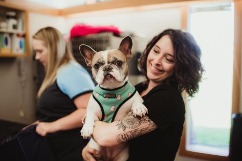 Image for Magnolia Springs Veterinary Center with ID of: 5070203