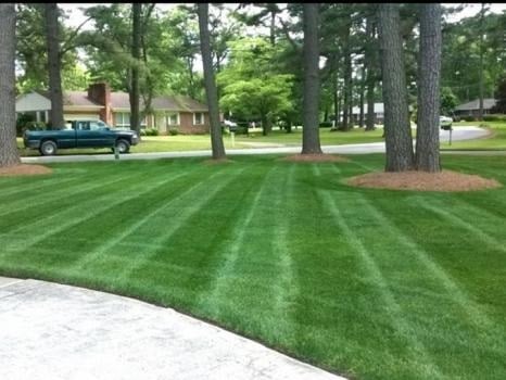 Image for Weed Free Lawns with ID of: 5072807