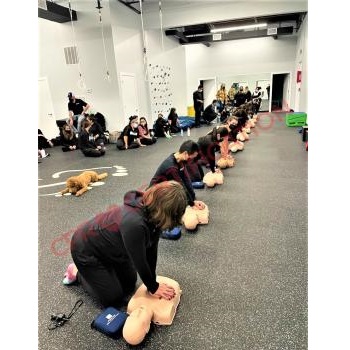 Image for CPR Certification Virginia Beach with ID of: 5074907