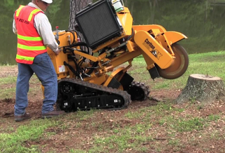 Image for Chesapeake Tree Company with ID of: 5081148