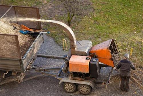 Image for Chesapeake Tree Company with ID of: 5081149