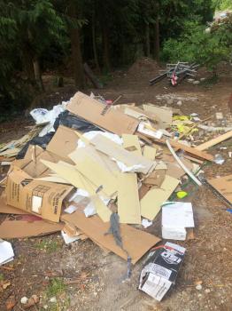 Image for Action Junk Hauling with ID of: 5097943