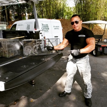 Image for Commando Pest Control & Trappers with ID of: 5099720