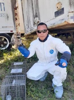 Image for Commando Pest Control & Trappers with ID of: 5099721