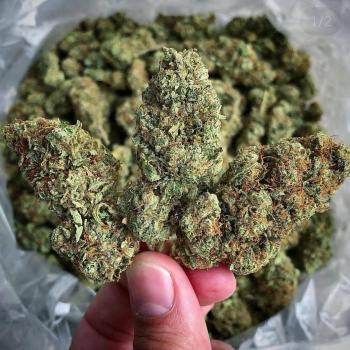 Image for Online cannabis dispensary with ID of: 5102595