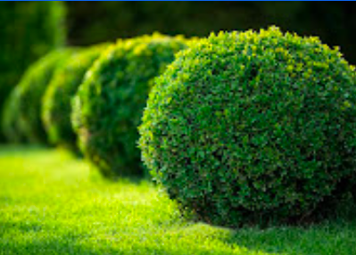 Image for Oregon Landscape Company with ID of: 5104586