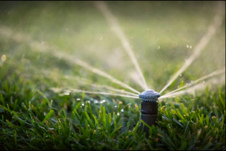 Image for Oregon Landscape Company with ID of: 5104587