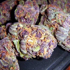Image for Online cannabis dispensary with ID of: 5108945