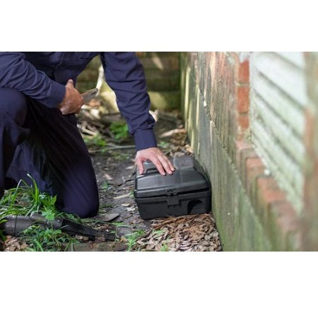 Image for Pest Plus, Inc. with ID of: 5112646