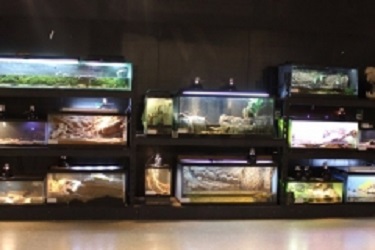 Image for Rizzo's Wildlife World with ID of: 5116026