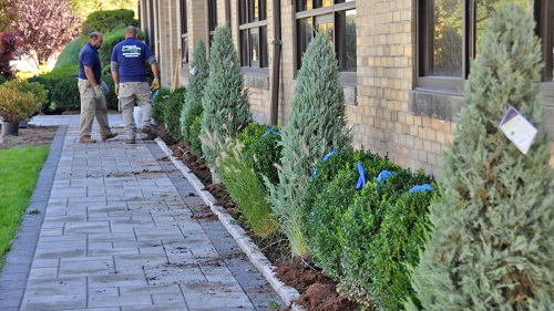 Image for Landscape Solutions with ID of: 5117060
