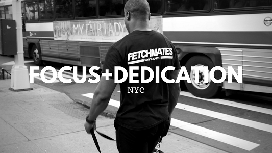 Image for Fetchmates -- Tribeca Dog Walker with ID of: 5123504