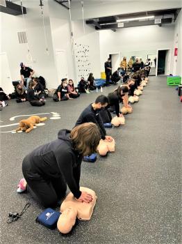 Image for CPR Certification Los Angeles with ID of: 5125519