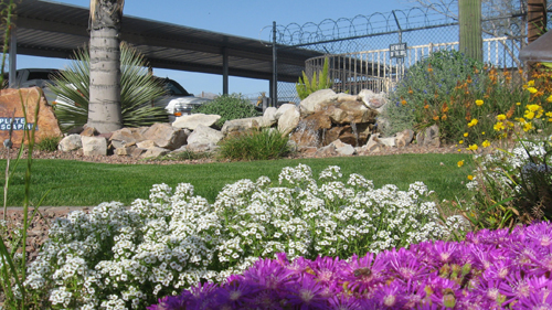 Image for Complete Landscaping with ID of: 5131244