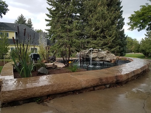 Image for Local Lawn Care LLC with ID of: 5133217