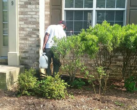 Image for Nest Pest Control Service with ID of: 5133413