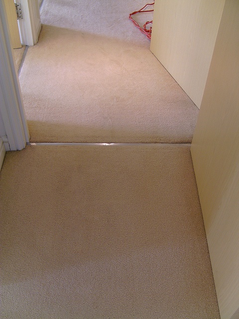 Image for Rosenberg Carpet Cleaner with ID of: 1520668