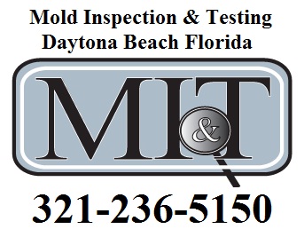 Image for Mold Inspection & Testing Daytona Beach FL with ID of: 620023