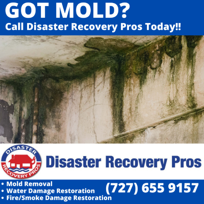Image for Disaster Recovery Pros with ID of: 5146684