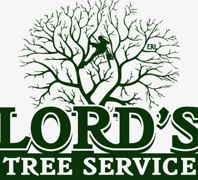 Image for Lord's Tree Service LLC with ID of: 6201773