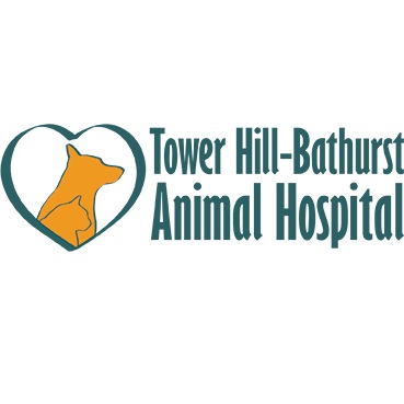Image for Tower Hill-Bathurst Animal Hospital with ID of: 6203131