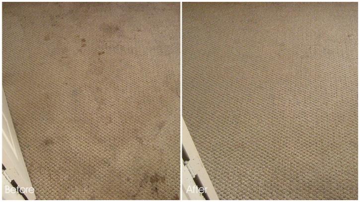 Image for Spring Steam Carpet & Care with ID of: 5149821