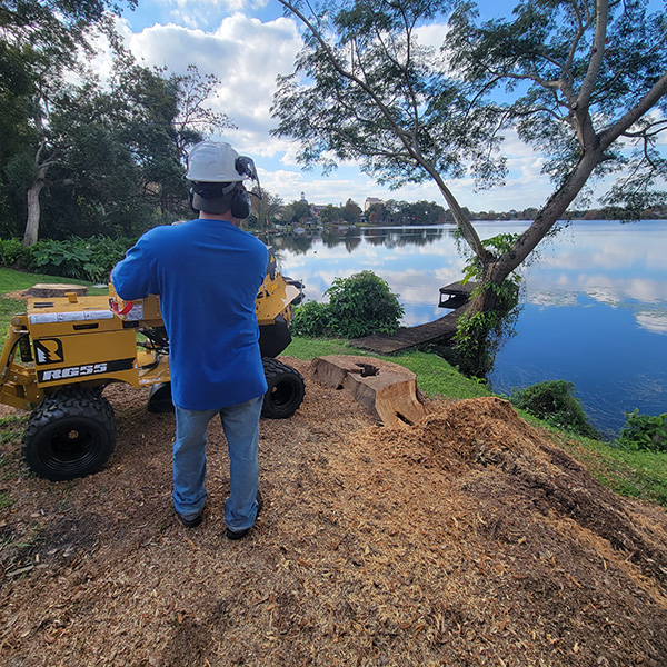 Image for Orlando Stump Grinding Inc. with ID of: 5155029