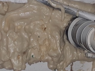 Image for Ratchet Roach Pest Control with ID of: 5157626