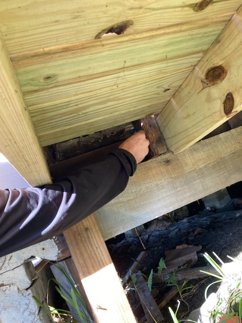 Image for Ratchet Roach Pest Control with ID of: 5157641
