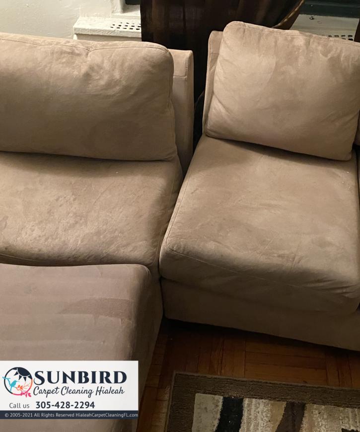 Image for Sunbird Carpet Cleaning Hialeah with ID of: 3328542
